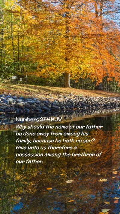 Picture 02 - Numbers 27:4 KJV Mobile Phone Wallpaper - Why should the name of our father be done away - Mobile Bible Verse Wallpaper