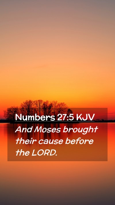 Picture 02 - Numbers 27:5 KJV Mobile Phone Wallpaper - And Moses brought their cause before the - Mobile Bible Verse Wallpaper