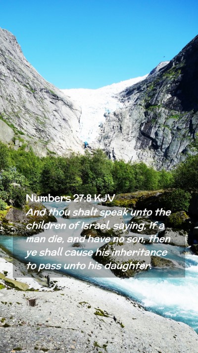 Picture 02 - Numbers 27:8 KJV Mobile Phone Wallpaper - And thou shalt speak unto the children of Israel, - Mobile Bible Verse Wallpaper