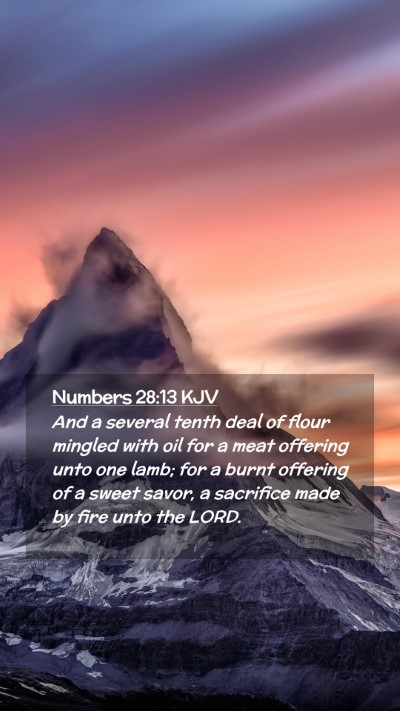 Picture 02 - Numbers 28:13 KJV Mobile Phone Wallpaper - And a several tenth deal of flour mingled with - Mobile Bible Verse Wallpaper