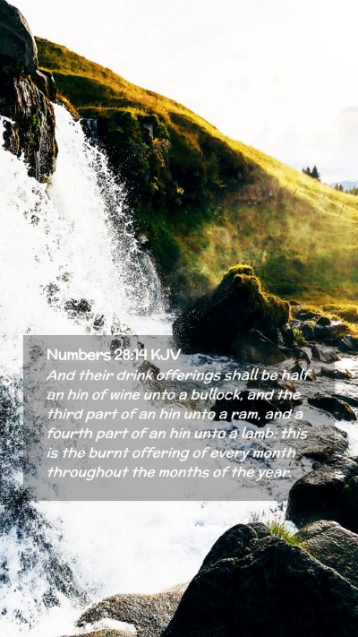 Picture 02 - Numbers 28:14 KJV Mobile Phone Wallpaper - And their drink offerings shall be half an hin of - Mobile Bible Verse Wallpaper
