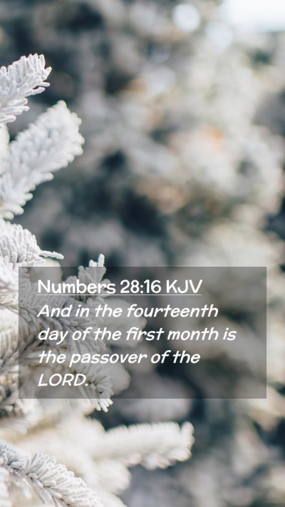 Picture 02 - Numbers 28:16 KJV Mobile Phone Wallpaper - And in the fourteenth day of the first month is - Mobile Bible Verse Wallpaper