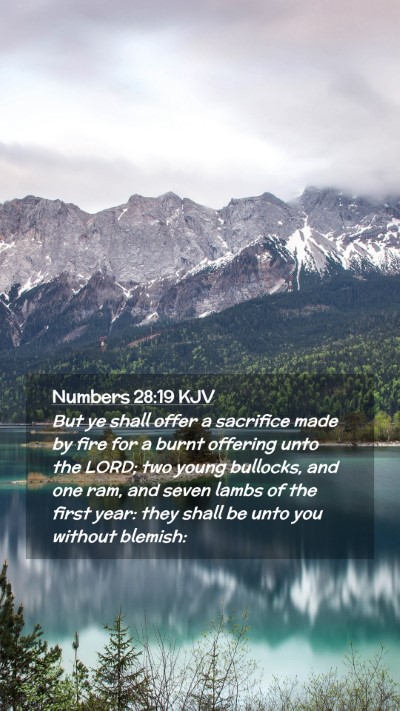 Picture 02 - Numbers 28:19 KJV Mobile Phone Wallpaper - But ye shall offer a sacrifice made by fire for a - Mobile Bible Verse Wallpaper