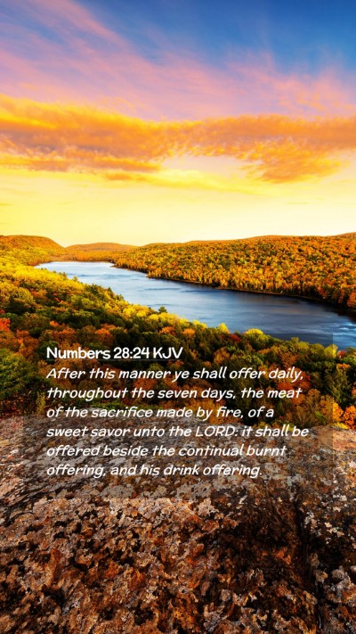Picture 02 - Numbers 28:24 KJV Mobile Phone Wallpaper - After this manner ye shall offer daily, - Mobile Bible Verse Wallpaper