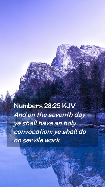 Picture 02 - Numbers 28:25 KJV Mobile Phone Wallpaper - And on the seventh day ye shall have an holy - Mobile Bible Verse Wallpaper