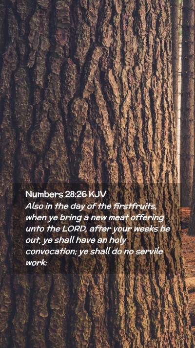 Picture 02 - Numbers 28:26 KJV Mobile Phone Wallpaper - Also in the day of the firstfruits, when ye bring - Mobile Bible Verse Wallpaper