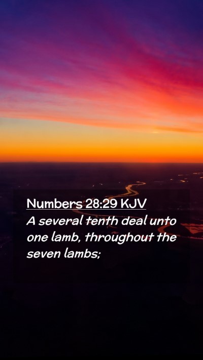 Picture 02 - Numbers 28:29 KJV Mobile Phone Wallpaper - A several tenth deal unto one lamb, throughout - Mobile Bible Verse Wallpaper