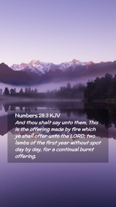 Picture 02 - Numbers 28:3 KJV Mobile Phone Wallpaper - And thou shalt say unto them, This is the - Mobile Bible Verse Wallpaper
