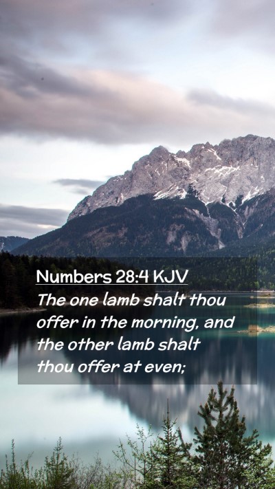 Picture 02 - Numbers 28:4 KJV Mobile Phone Wallpaper - The one lamb shalt thou offer in the morning, and - Mobile Bible Verse Wallpaper