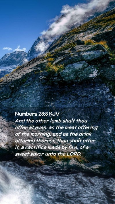 Picture 02 - Numbers 28:8 KJV Mobile Phone Wallpaper - And the other lamb shalt thou offer at even: as - Mobile Bible Verse Wallpaper