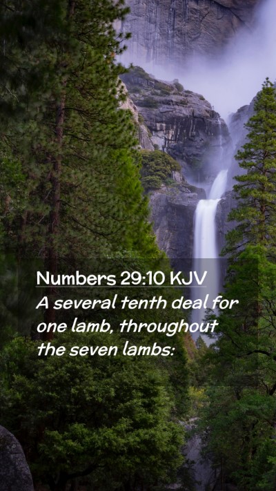 Picture 02 - Numbers 29:10 KJV Mobile Phone Wallpaper - A several tenth deal for one lamb, throughout the - Mobile Bible Verse Wallpaper