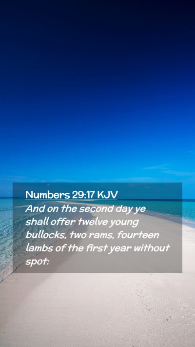 Picture 02 - Numbers 29:17 KJV Mobile Phone Wallpaper - And on the second day ye shall offer twelve young - Mobile Bible Verse Wallpaper