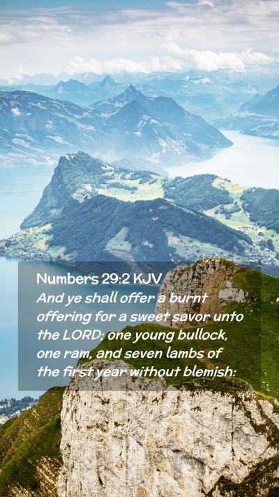 Picture 02 - Numbers 29:2 KJV Mobile Phone Wallpaper - And ye shall offer a burnt offering for a sweet - Mobile Bible Verse Wallpaper