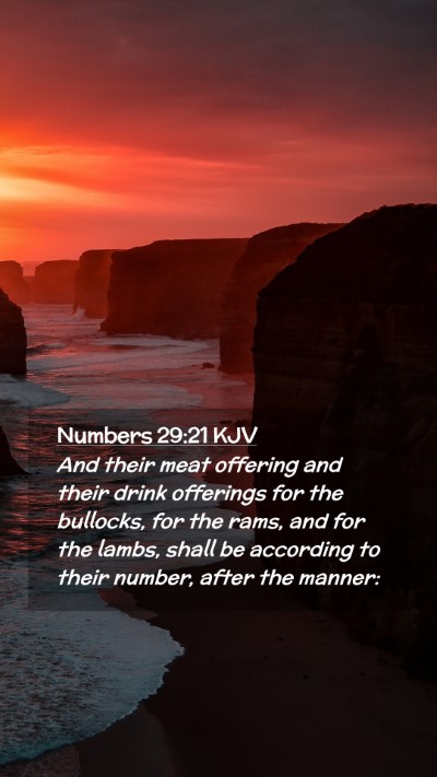 Picture 02 - Numbers 29:21 KJV Mobile Phone Wallpaper - And their meat offering and their drink offerings - Mobile Bible Verse Wallpaper