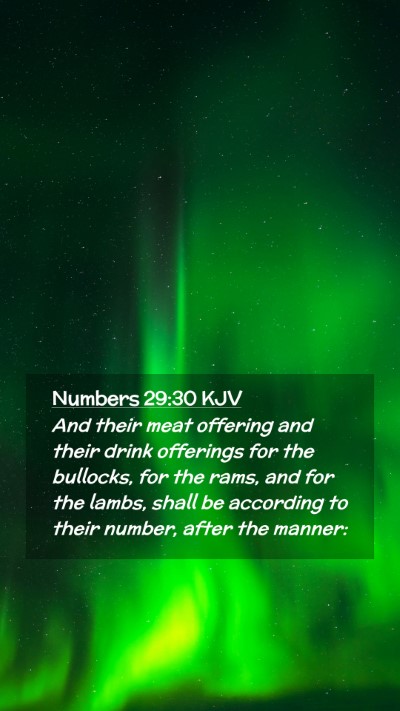 Picture 02 - Numbers 29:30 KJV Mobile Phone Wallpaper - And their meat offering and their drink offerings - Mobile Bible Verse Wallpaper