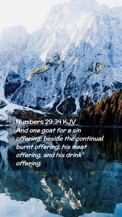 Picture 02 - Numbers 29:34 KJV Mobile Phone Wallpaper - And one goat for a sin offering; beside the - Mobile Bible Verse Wallpaper