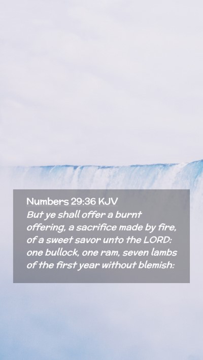 Picture 02 - Numbers 29:36 KJV Mobile Phone Wallpaper - But ye shall offer a burnt offering, a sacrifice - Mobile Bible Verse Wallpaper