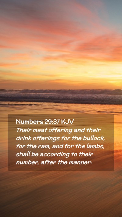Picture 02 - Numbers 29:37 KJV Mobile Phone Wallpaper - Their meat offering and their drink offerings for - Mobile Bible Verse Wallpaper