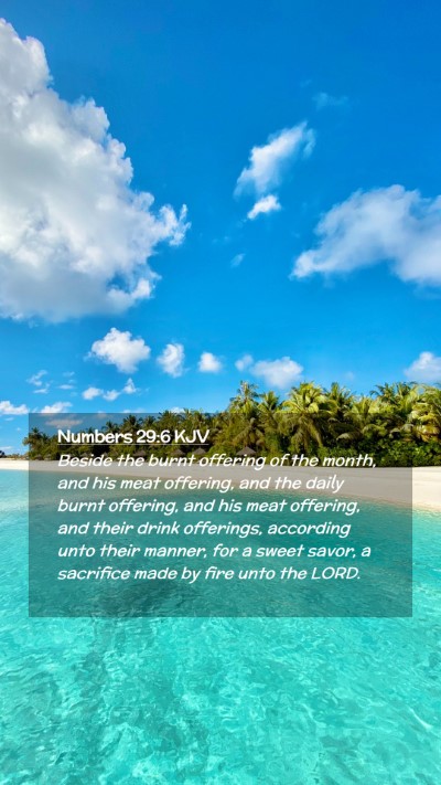 Picture 02 - Numbers 29:6 KJV Mobile Phone Wallpaper - Beside the burnt offering of the month, and his - Mobile Bible Verse Wallpaper