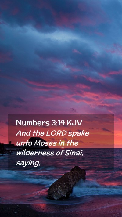 Picture 02 - Numbers 3:14 KJV Mobile Phone Wallpaper - And the LORD spake unto Moses in the wilderness - Mobile Bible Verse Wallpaper