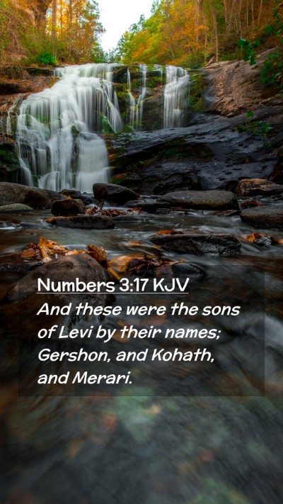 Picture 02 - Numbers 3:17 KJV Mobile Phone Wallpaper - And these were the sons of Levi by their names; - Mobile Bible Verse Wallpaper