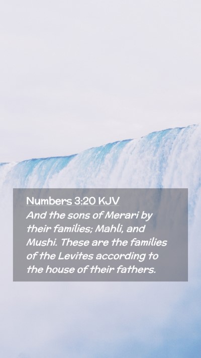 Picture 02 - Numbers 3:20 KJV Mobile Phone Wallpaper - And the sons of Merari by their families; Mahli, - Mobile Bible Verse Wallpaper