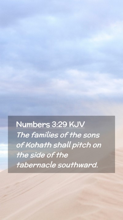 Picture 02 - Numbers 3:29 KJV Mobile Phone Wallpaper - The families of the sons of Kohath shall pitch on - Mobile Bible Verse Wallpaper