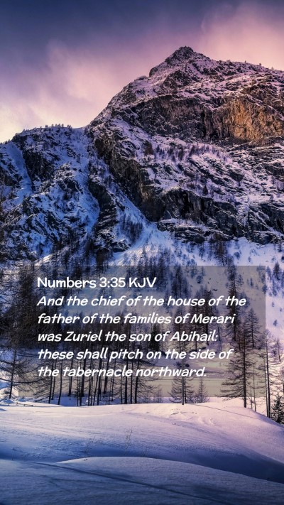 Picture 02 - Numbers 3:35 KJV Mobile Phone Wallpaper - And the chief of the house of the father of the - Mobile Bible Verse Wallpaper