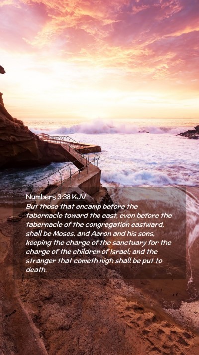 Picture 02 - Numbers 3:38 KJV Mobile Phone Wallpaper - But those that encamp before the tabernacle - Mobile Bible Verse Wallpaper