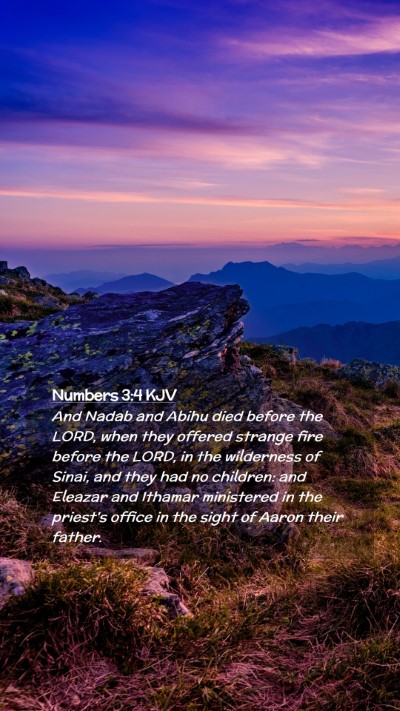 Picture 02 - Numbers 3:4 KJV Mobile Phone Wallpaper - And Nadab and Abihu died before the LORD, when - Mobile Bible Verse Wallpaper