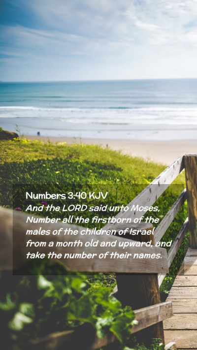 Picture 02 - Numbers 3:40 KJV Mobile Phone Wallpaper - And the LORD said unto Moses, Number all the - Mobile Bible Verse Wallpaper