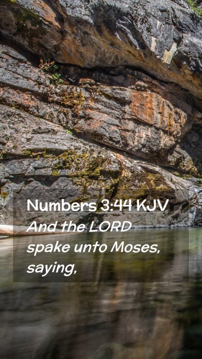 Picture 02 - Numbers 3:44 KJV Mobile Phone Wallpaper - And the LORD spake unto Moses, - Mobile Bible Verse Wallpaper