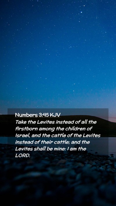 Picture 02 - Numbers 3:45 KJV Mobile Phone Wallpaper - Take the Levites instead of all the firstborn - Mobile Bible Verse Wallpaper