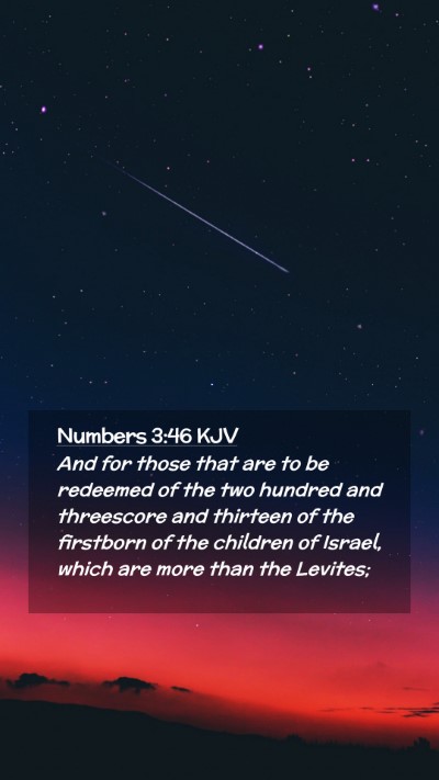 Picture 02 - Numbers 3:46 KJV Mobile Phone Wallpaper - And for those that are to be redeemed of the two - Mobile Bible Verse Wallpaper