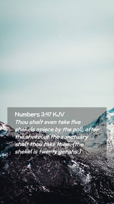 Picture 02 - Numbers 3:47 KJV Mobile Phone Wallpaper - Thou shalt even take five shekels apiece by the - Mobile Bible Verse Wallpaper