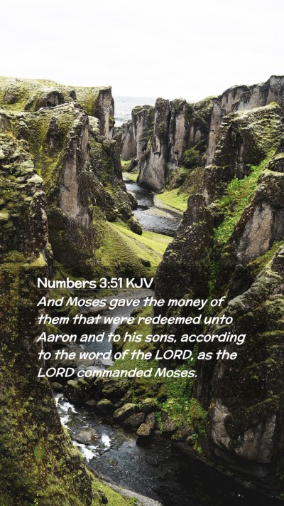 Picture 02 - Numbers 3:51 KJV Mobile Phone Wallpaper - And Moses gave the money of them that were - Mobile Bible Verse Wallpaper