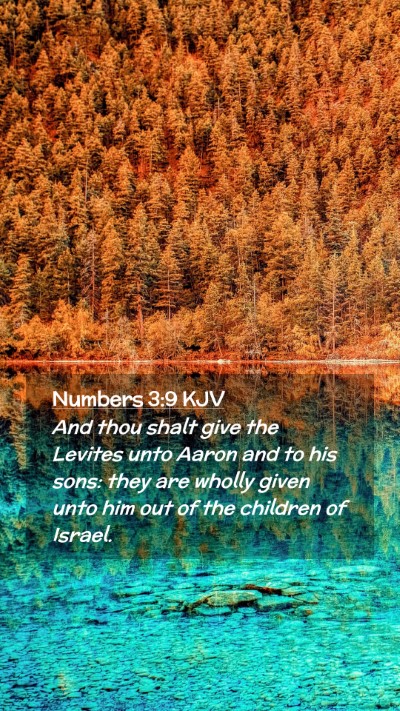 Picture 02 - Numbers 3:9 KJV Mobile Phone Wallpaper - And thou shalt give the Levites unto Aaron and to - Mobile Bible Verse Wallpaper