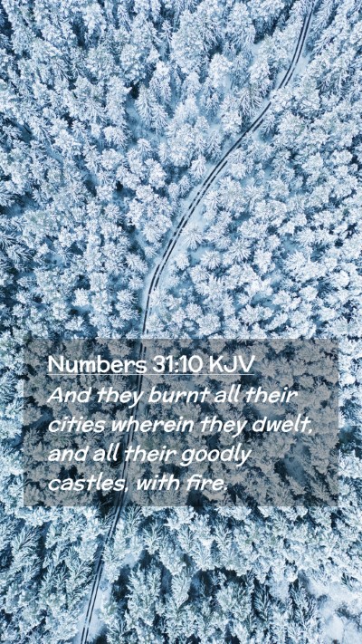 Picture 02 - Numbers 31:10 KJV Mobile Phone Wallpaper - And they burnt all their cities wherein they - Mobile Bible Verse Wallpaper