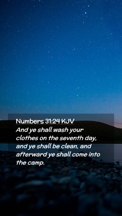 Picture 02 - Numbers 31:24 KJV Mobile Phone Wallpaper - And ye shall wash your clothes on the seventh - Mobile Bible Verse Wallpaper