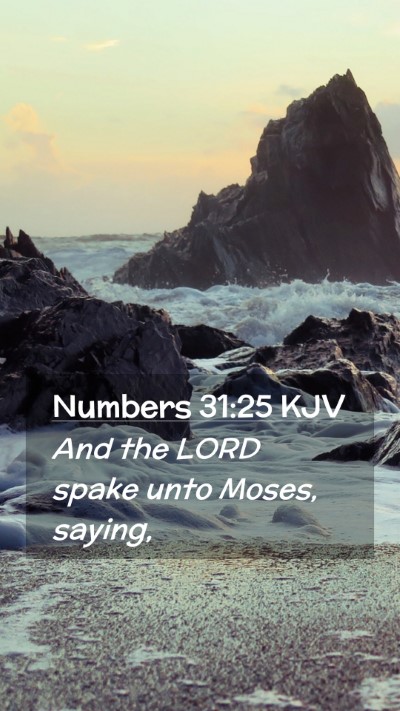 Picture 02 - Numbers 31:25 KJV Mobile Phone Wallpaper - And the LORD spake unto Moses, - Mobile Bible Verse Wallpaper