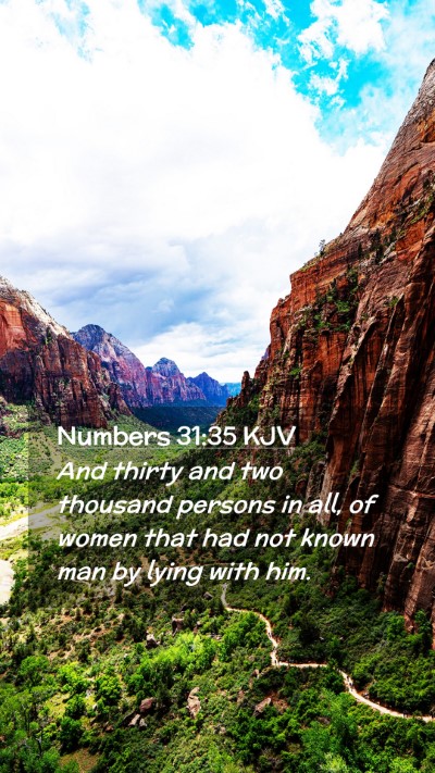 Picture 02 - Numbers 31:35 KJV Mobile Phone Wallpaper - And thirty and two thousand persons in all, of - Mobile Bible Verse Wallpaper
