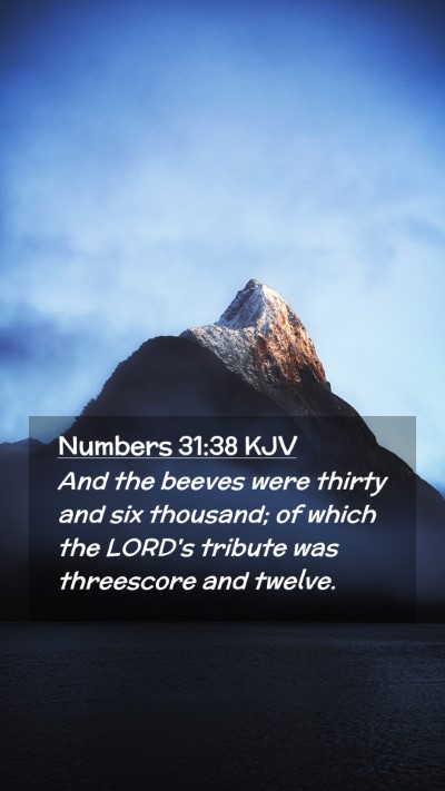 Picture 02 - Numbers 31:38 KJV Mobile Phone Wallpaper - And the beeves were thirty and six thousand; of - Mobile Bible Verse Wallpaper