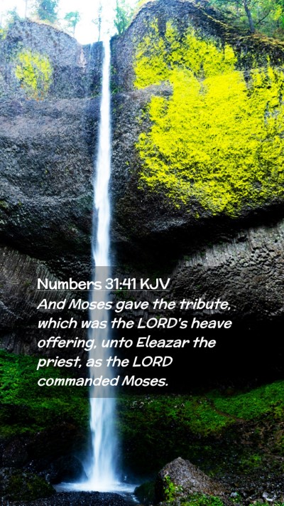 Picture 02 - Numbers 31:41 KJV Mobile Phone Wallpaper - And Moses gave the tribute, which was the LORD's - Mobile Bible Verse Wallpaper