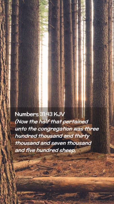 Picture 02 - Numbers 31:43 KJV Mobile Phone Wallpaper - (Now the half that pertained unto the - Mobile Bible Verse Wallpaper