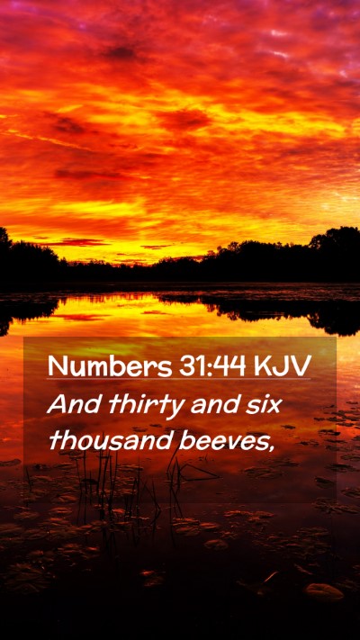 Picture 02 - Numbers 31:44 KJV Mobile Phone Wallpaper - And thirty and six thousand - Mobile Bible Verse Wallpaper