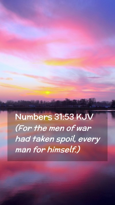 Picture 02 - Numbers 31:53 KJV Mobile Phone Wallpaper - (For the men of war had taken spoil, every man - Mobile Bible Verse Wallpaper