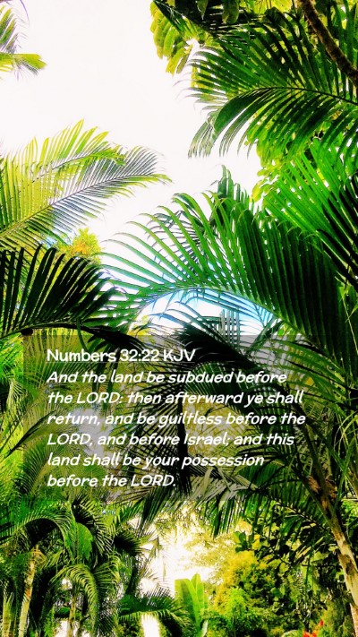 Picture 02 - Numbers 32:22 KJV Mobile Phone Wallpaper - And the land be subdued before the LORD: then - Mobile Bible Verse Wallpaper