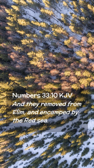 Picture 02 - Numbers 33:10 KJV Mobile Phone Wallpaper - And they removed from Elim, and encamped by the - Mobile Bible Verse Wallpaper