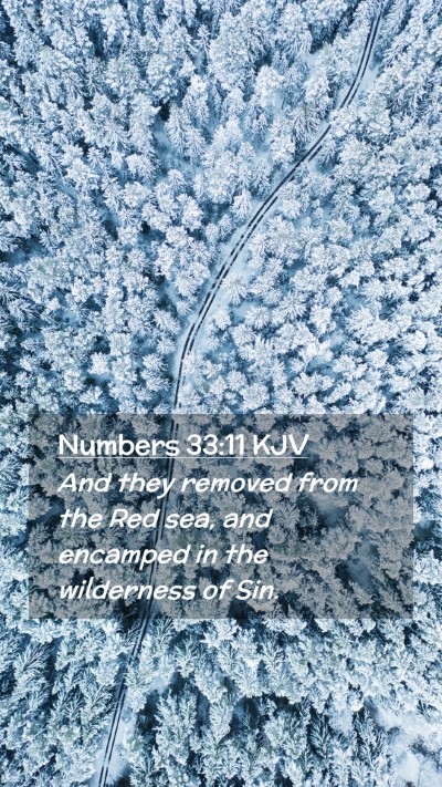 Picture 02 - Numbers 33:11 KJV Mobile Phone Wallpaper - And they removed from the Red sea, and encamped - Mobile Bible Verse Wallpaper