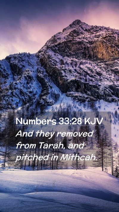 Picture 02 - Numbers 33:28 KJV Mobile Phone Wallpaper - And they removed from Tarah, and pitched in - Mobile Bible Verse Wallpaper